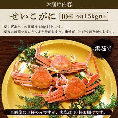 地元鮮魚店厳選 ≪浜茹で≫ 越前せいこがに 10杯【11・12月発送】