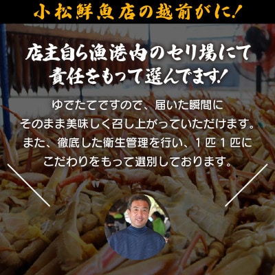 【期間限定】≪浜茹で≫ 越前産水がに中サイズ 10肩(1.75kg)