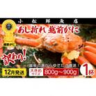 【訳あり】足折れ 越前がに 大きめサイズ × 1杯(800～900g)【12月発送分】