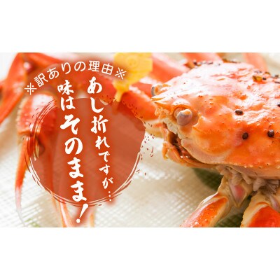 【訳あり】足折れ 越前がに 大きめサイズ × 1杯(800～900g)【2025年1月発送分】