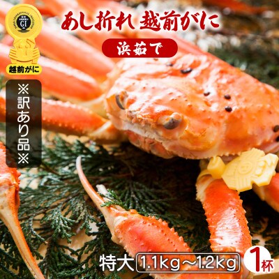 【訳あり】足折れ 越前がに 特大サイズ × 1杯(1.1～1.2kg)【2024年12月発送分】