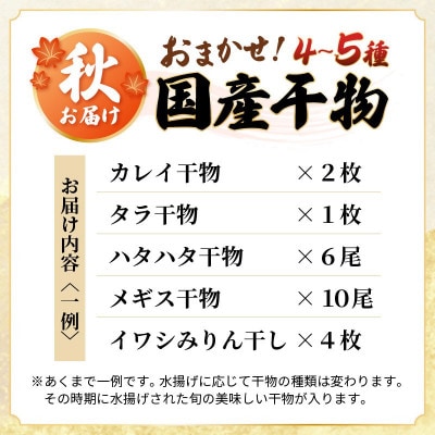 「先行予約」珍しい冷蔵発送!魚屋のこだわり干物「秋にお届け干物セット」 保存料・着色料無添加