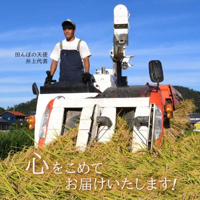 【つなごう!奥里山農耕】特別栽培米コシヒカリ「そよ風田んぼ」5kg(有機肥料100%  農薬7割減)