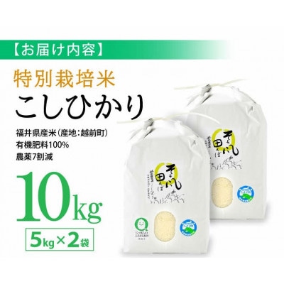 【つなごう!奥里山農耕】 特別栽培米コシヒカリ「そよ風田んぼ」10kg(有機肥料100%)