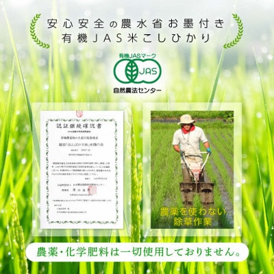 【有機栽培 JAS認証】 越前コシヒカリ 2kg 令和5年産 福井県産【精米】