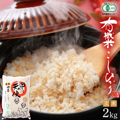 【有機栽培 JAS認証】 越前コシヒカリ 2kg 令和5年産 福井県産【玄米】