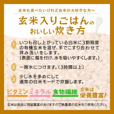【有機栽培 JAS認証】 越前コシヒカリ 2kg 令和5年産 福井県産【玄米】