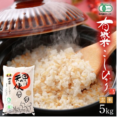 【有機栽培 JAS認証】 越前コシヒカリ 5kg 令和5年産 福井県産【玄米】