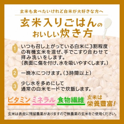【有機栽培 JAS認証】 越前コシヒカリ 5kg 令和5年産 福井県産【玄米】