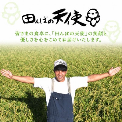 【有機栽培 JAS認証】 越前コシヒカリ 5kg 令和5年産 福井県産【精米】
