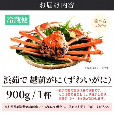 ≪浜茹で≫ 越前がに 中サイズ × 1杯【11月発送分】