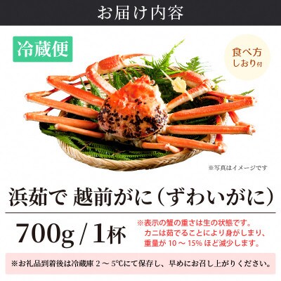 ≪浜茹で≫ 越前がに 小サイズ × 1杯【11月発送分】