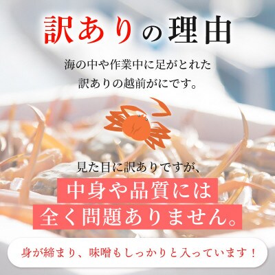 【訳あり】≪浜茹で≫ 越前がに 600～900g前後 × 2杯【11月発送分】