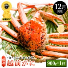 ≪浜茹で≫ 越前がに 中サイズ × 1杯【12月発送分】