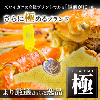 ≪浜茹で≫ 越前がに 極 × 1杯【12月発送分】