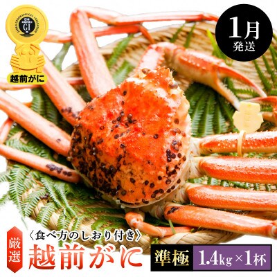 ≪浜茹で≫ 越前がに 準極 × 1杯【1月発送分】