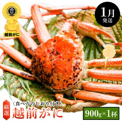≪浜茹で≫ 越前がに 中サイズ × 1杯【1月発送分】