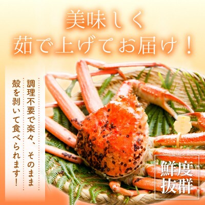 ≪浜茹で≫ 越前がに 中サイズ × 1杯【1月発送分】