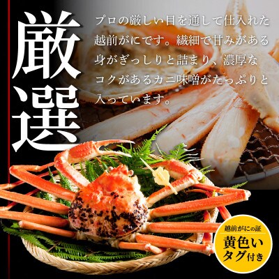 ≪浜茹で≫ 越前がに 小サイズ × 1杯【1月発送分】