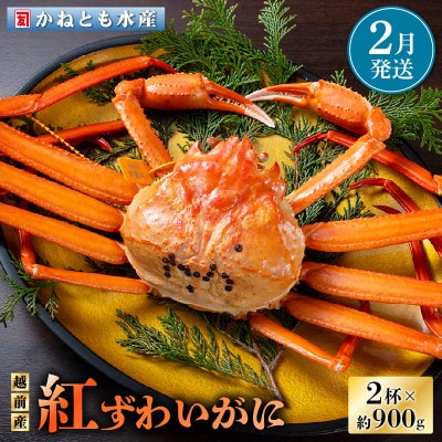 ≪浜茹で≫越前産 紅ずわいがに × 2杯【2月発送分】