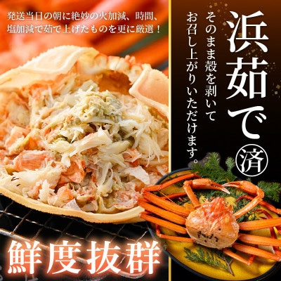 ≪浜茹で≫越前産 紅ずわいがに × 2杯【4月発送分】