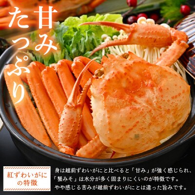 ≪浜茹で≫越前産 紅ずわいがに × 2杯【4月発送分】