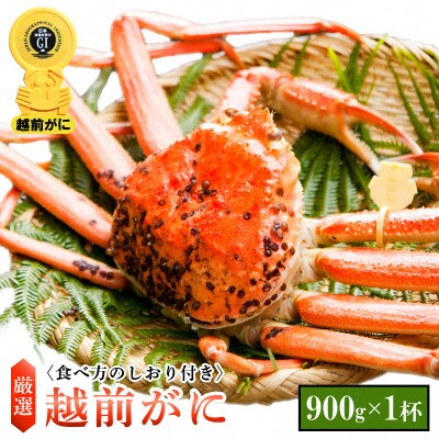 【2月より順次発送】越前がに 900g(中)