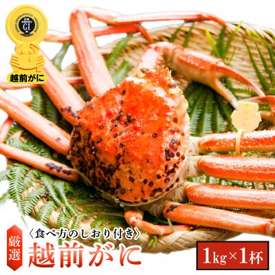 【2月より順次発送】越前がに 1kg (大)