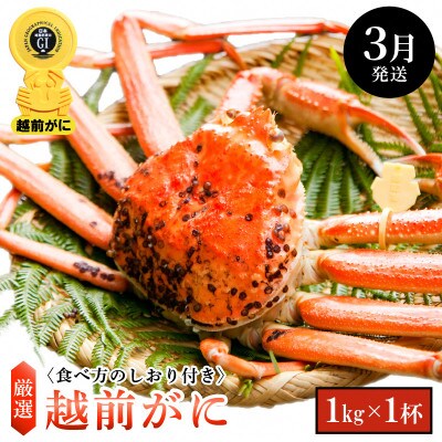 ≪浜茹で≫ 越前がに 大サイズ × 1杯【3月発送分】