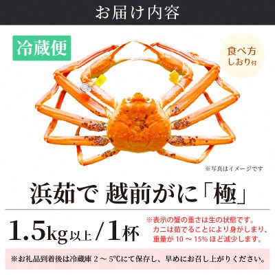 ≪浜茹で≫ 越前がに 極 × 1杯【3月発送分】