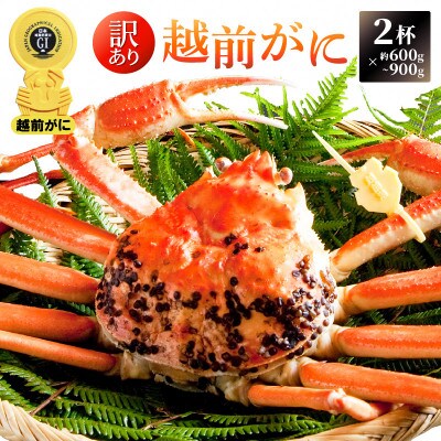 【3月発送】訳あり 越前がに 600~900g 2杯