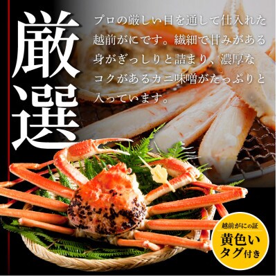 【さとふる限定】≪浜茹で≫越前がに 中サイズ × 3杯【1月発送分】