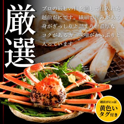 【さとふる限定】≪浜茹で≫越前がに 中サイズ × 3杯【2月発送分】