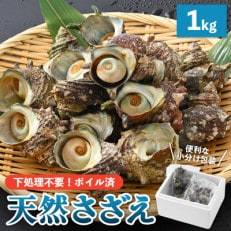 産地直送!天然さざえ ボイル済 1kg(500g &times; 2袋)【2024年6月10日以降順次発送】