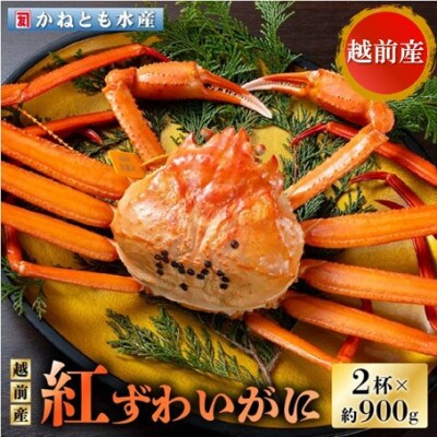 ≪浜茹で≫越前産 紅ずわいがに 約900g × 2杯 食べ方しおり付【10月発送分】