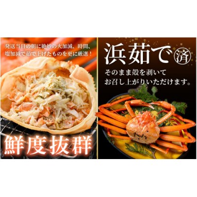 ≪浜茹で≫越前産 紅ずわいがに 約900g × 2杯 食べ方しおり付【10月発送分】