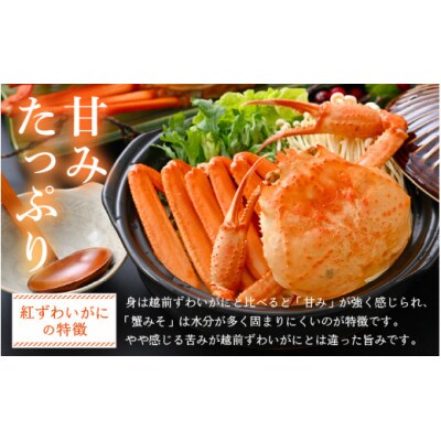 ≪浜茹で≫越前産 紅ずわいがに 約900g × 2杯 食べ方しおり付【10月発送分】