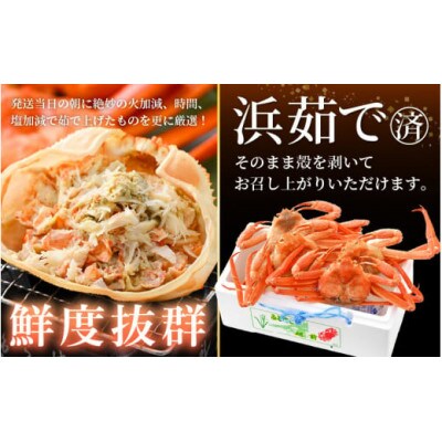 【訳あり】≪浜茹で≫越前産 紅ずわいがに 約700g × 4杯 食べ方しおり付【4月発送分】