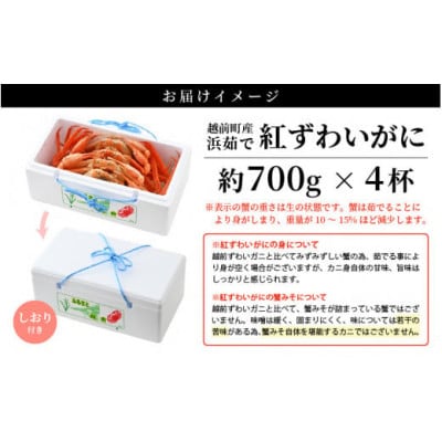 【訳あり】≪浜茹で≫越前産 紅ずわいがに 約700g × 4杯 食べ方しおり付【4月発送分】