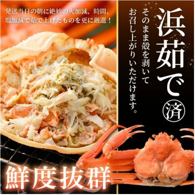 【訳あり】浜茹で 紅ずわいがに 2杯 & 大判干物「赤かれい・あじ」セット【5月発送分】