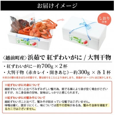 【訳あり】浜茹で 紅ずわいがに 2杯 & 大判干物「赤かれい・あじ」セット【5月発送分】