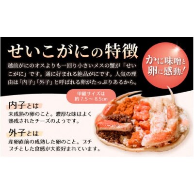 【訳あり】≪浜茹で≫越前がに 食べ比べ ずわい蟹 × 3杯 せいこ蟹 × 5杯 満足セット