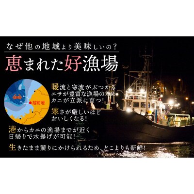 【訳あり】≪浜茹で≫越前がに 3杯(生で1杯400～600g)食べ方しおり付【1月発送予定】