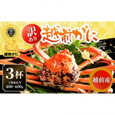 【訳あり】≪浜茹で≫越前がに 3杯(生で1杯400～600g)食べ方しおり付【2月発送予定】