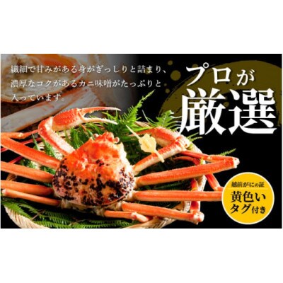 【訳あり】≪浜茹で≫越前がに 3杯(生で1杯400～600g)食べ方しおり付【2月発送予定】