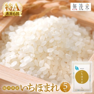 【先行予約】無洗米 いちほまれ 5kg 令和6年福井県産(精米)