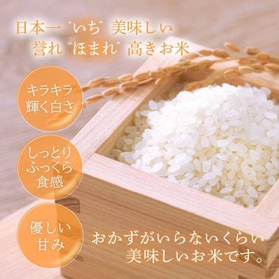 【先行予約】無洗米 いちほまれ 5kg 令和6年福井県産(精米)