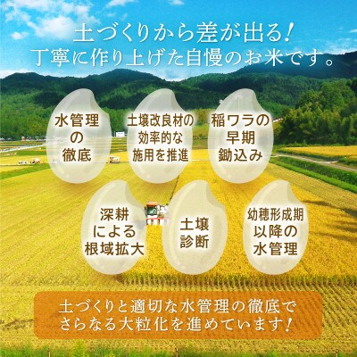 【さとふる限定】無洗米 いちほまれ 10kg 令和4年福井県産(精米)