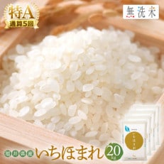 無洗米 いちほまれ 20kg 令和5年福井県産(精米)