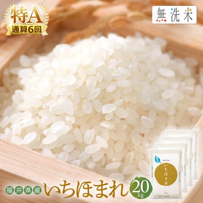 【先行予約】無洗米 いちほまれ 20kg 令和6年福井県産(精米)